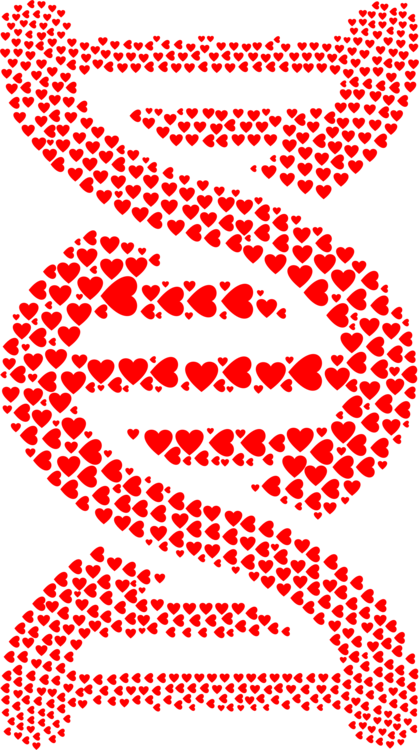 Dna Nucleic Acid Double Helix Computer Icons Nucleic - Paparazzi Accessories Join My Team (419x750), Png Download
