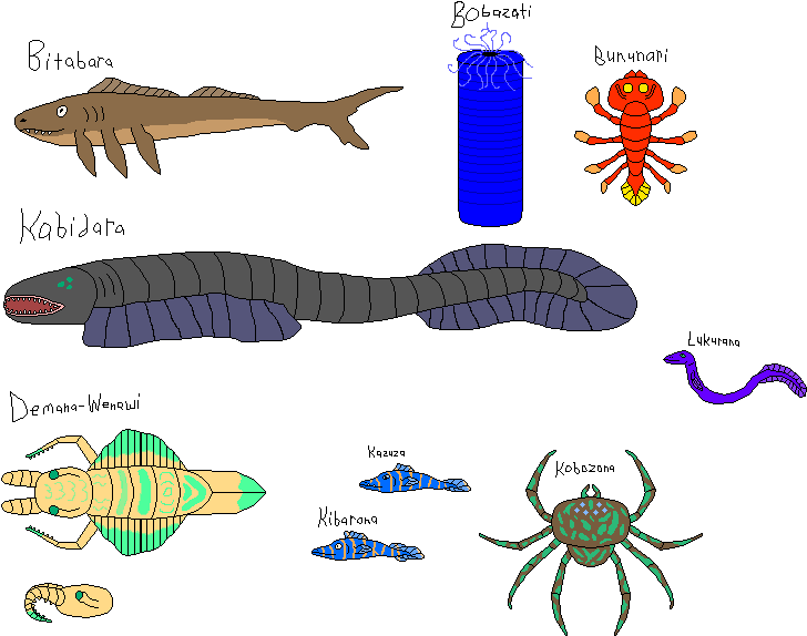 Nafine Sea Life - Insect (800x600), Png Download