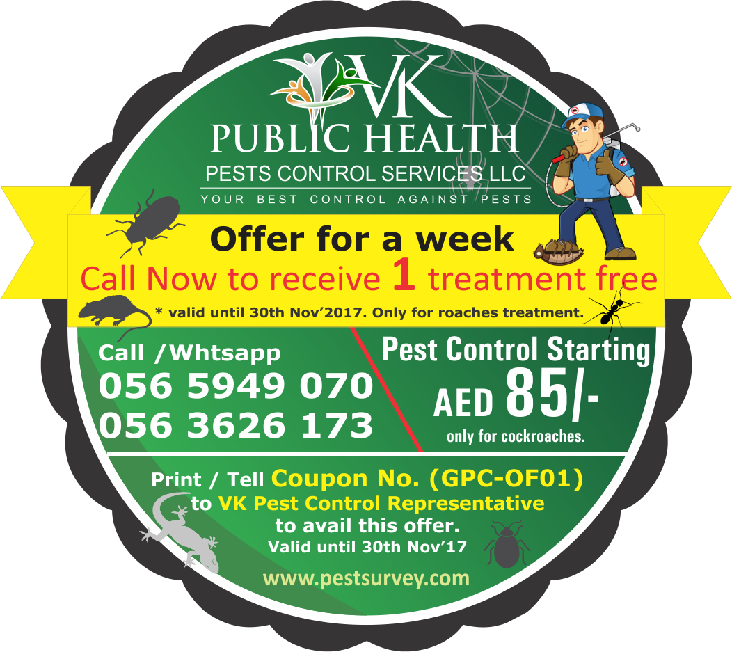 Vk Pest Control Offer For Week - Fit N Fine Indore (1052x937), Png Download
