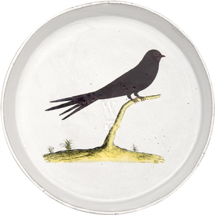 Blackbird (800x800), Png Download