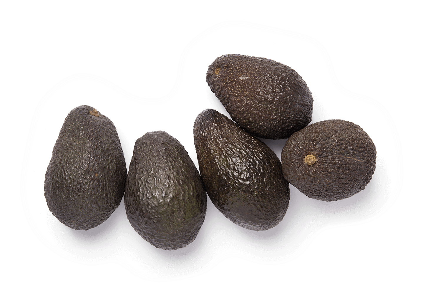Avocado (1500x1282), Png Download