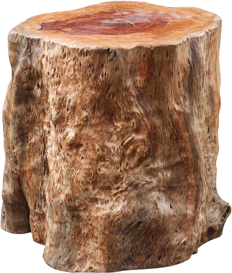 Hollow Tree Stump - Tree Stump (1200x1200), Png Download