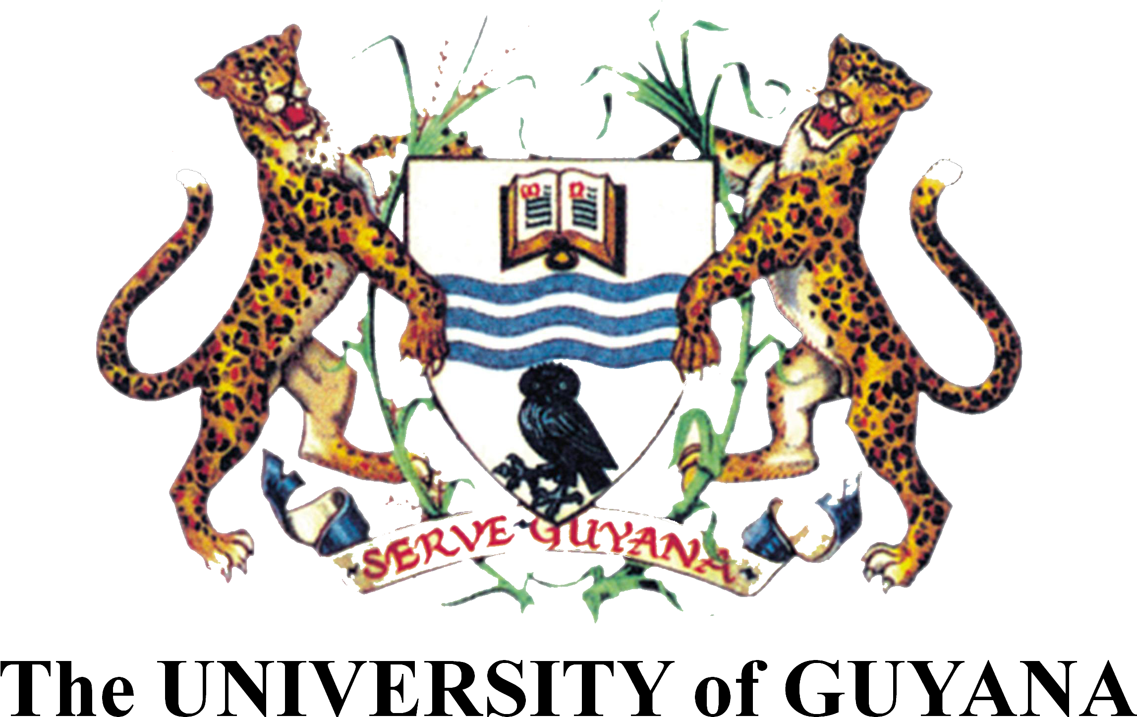 Conference Programme - University Of Guyana Letterhead (2925x2887), Png Download