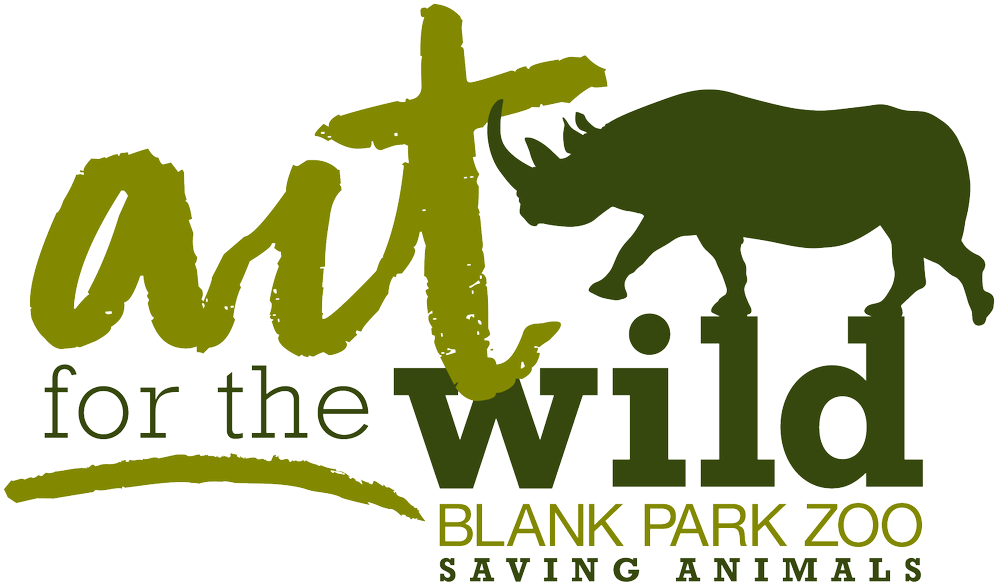 Blank Park Zooverified Account - Maine Coon Size Comparison (1200x927), Png Download