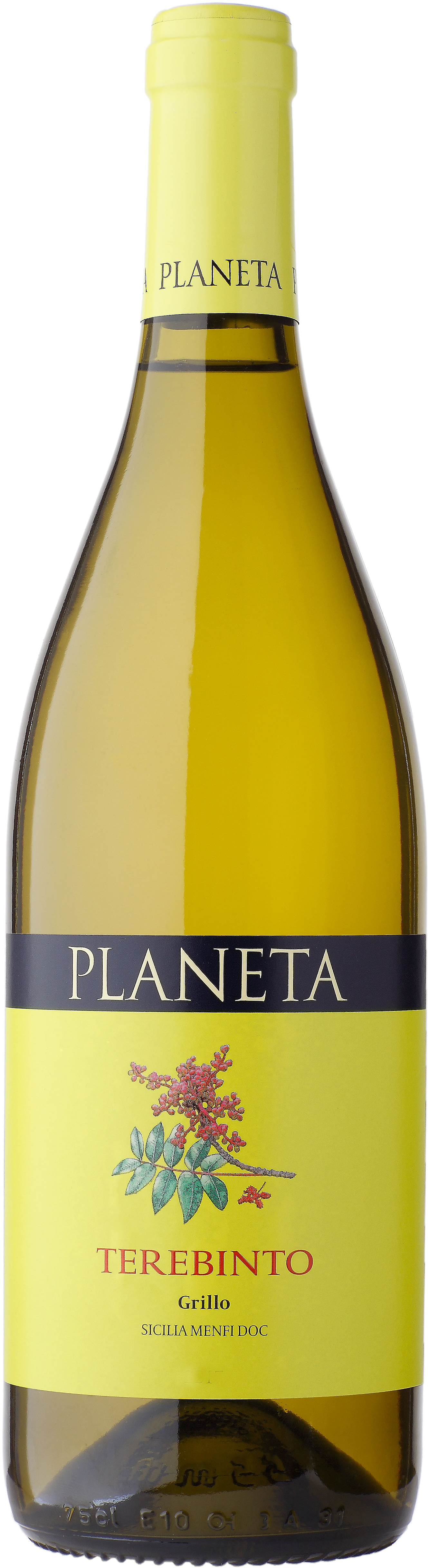 Planeta Terebinto Grillo 2017 (2262x5342), Png Download