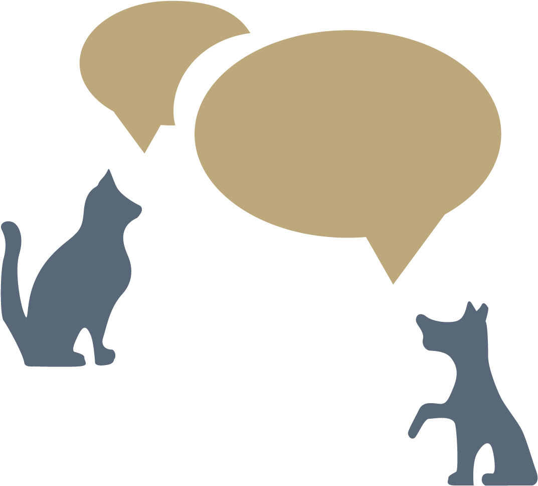 Plan - Illustration (1501x1500), Png Download