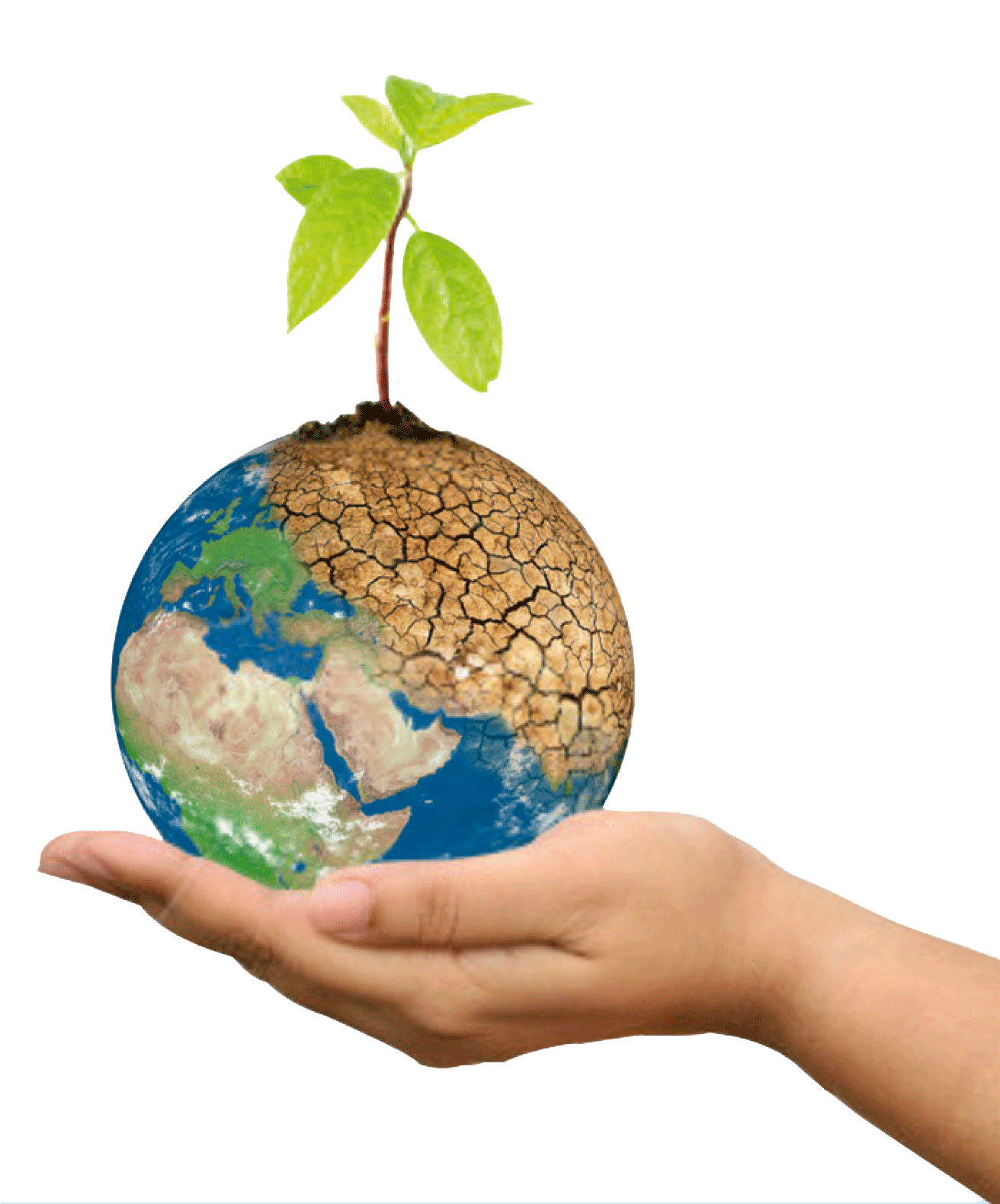 "esto Esta Llevando Al Planeta Al Desequilibrio Ecológico - Map (1311x1590), Png Download