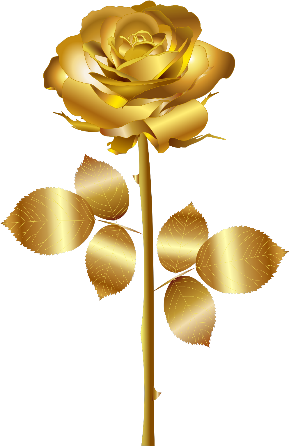 #remixit #freetoedit #gold #golden #divider #ribbon - Gold Rose Png (1024x1581), Png Download