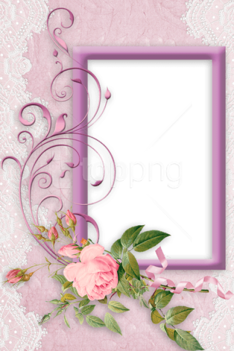 Free Png Best Stock Photos Nice Pink Png Frame With - Picture Frame (480x720), Png Download