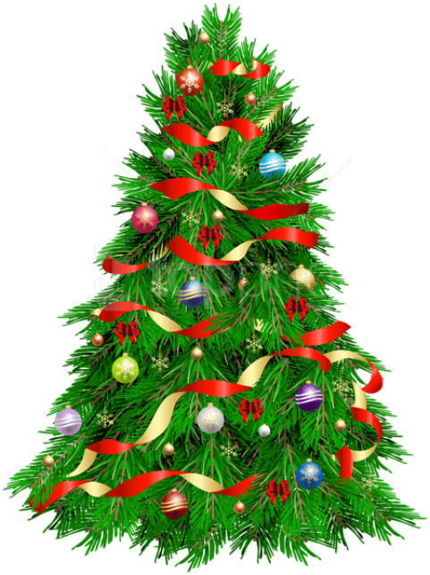 Free Png Christmas Tree Png - Christmas Tree (481x642), Png Download