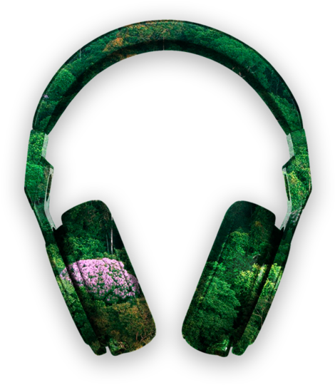 Greenphones - Beats Pro (1000x563), Png Download
