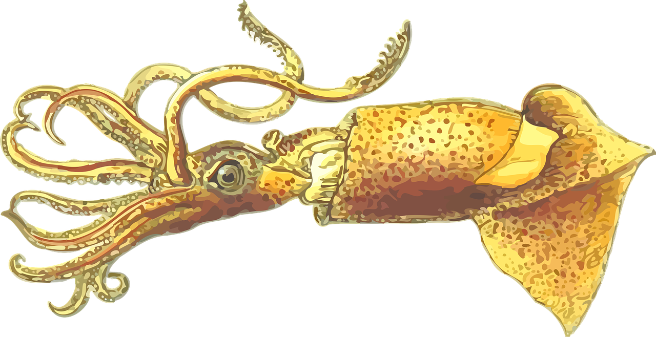 20,000 Leagues Under The Sea - Illustration (1280x658), Png Download