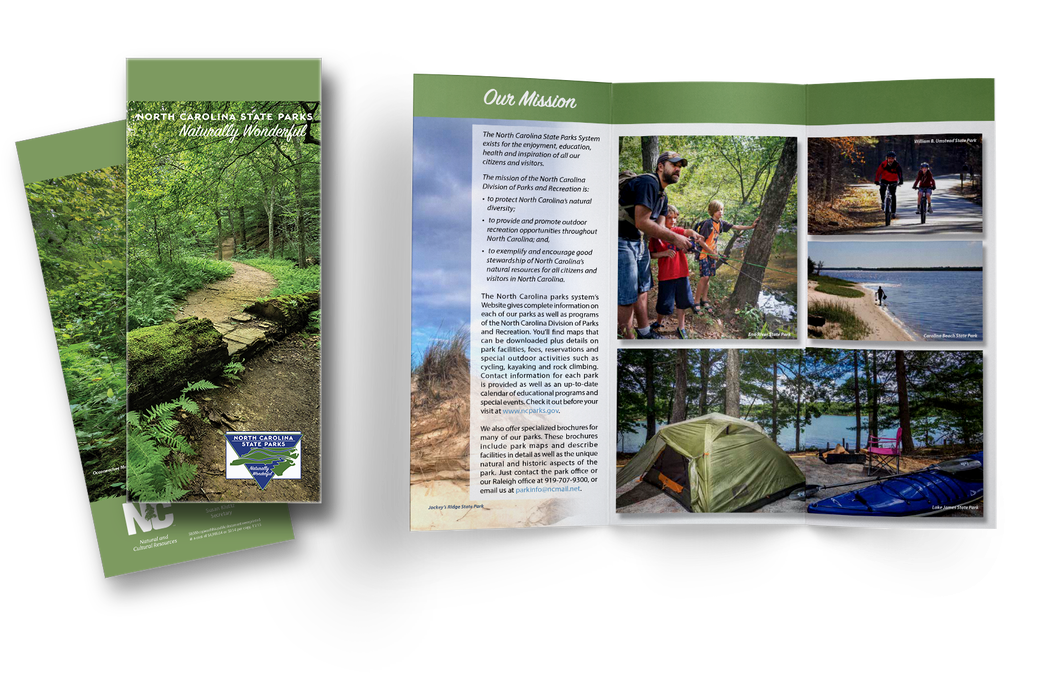 Picture - Brochure (1100x672), Png Download