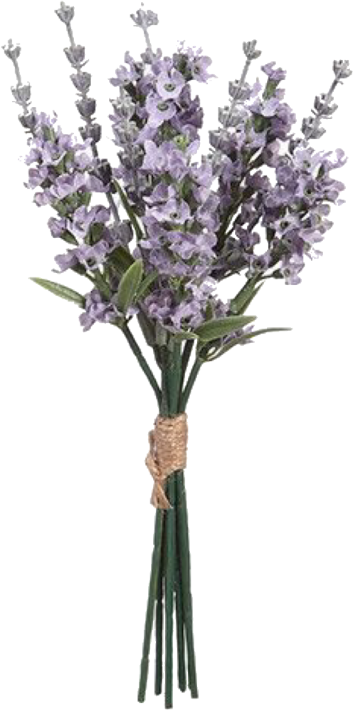 Pngs /like Or Reblog If Used/ - English Lavender (1280x1280), Png Download