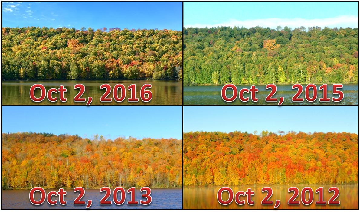 Nws Caribouverified Account - Field (1200x910), Png Download