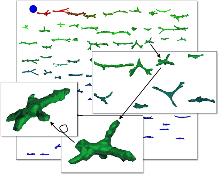 A 3d Web Based Visualization Of 100 Z Stacks From The - Plot (720x575), Png Download