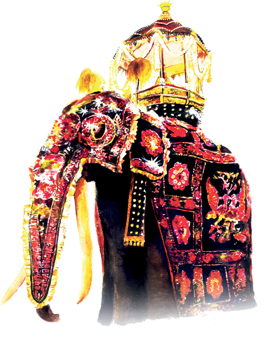 Dalada Perahera Png (603x764), Png Download
