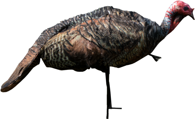 New Jake March2017 Clipped - Turkey (836x668), Png Download