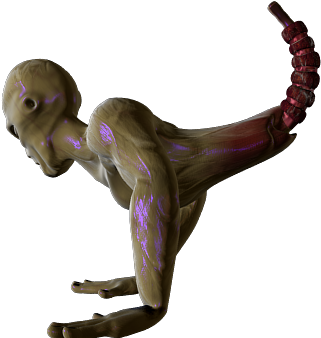 474shot 800×450 - Animal Figure (800x450), Png Download