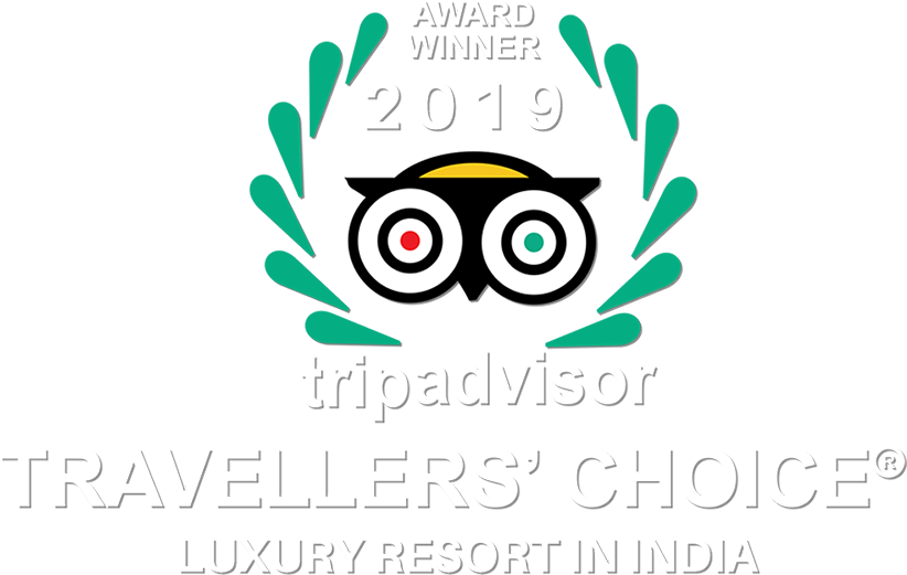 Pop Up Ads - Trip Advisor Travelers Choice Award 2019 (960x960), Png Download