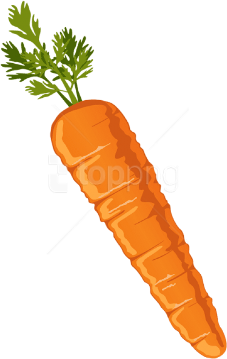 Free Png Images - Carrot Clipart Png (480x749), Png Download