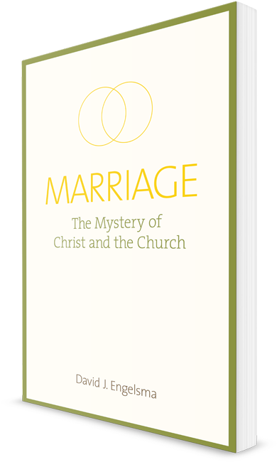 Marriage, The Mystery Of Christ And The Church - Book Cover (600x720), Png Download