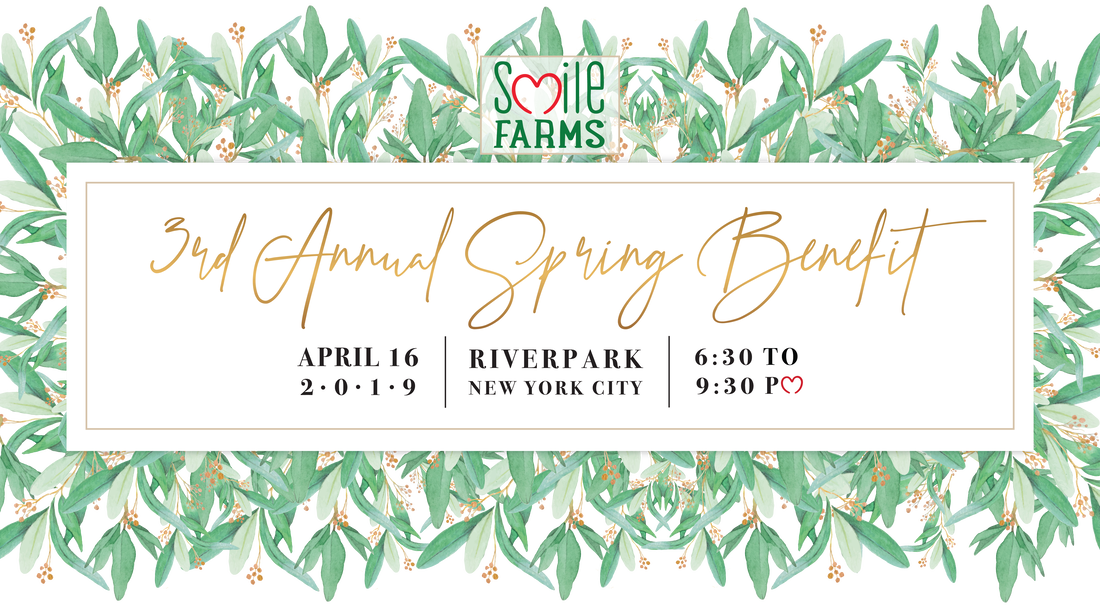 Our 3rd Annual Spring Benefit Will Be An Exciting, - Calligraphy (1100x607), Png Download