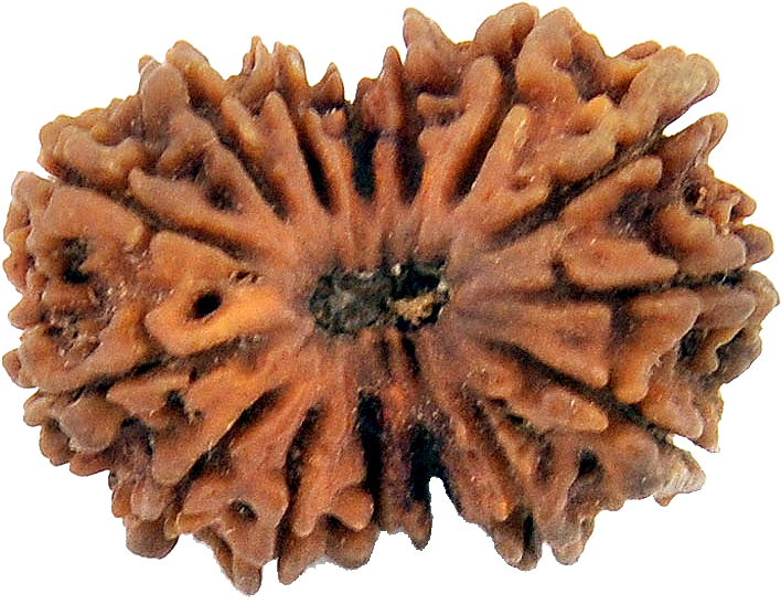 Ruling God, Lord Pashupati - Chocolate Cake (734x575), Png Download