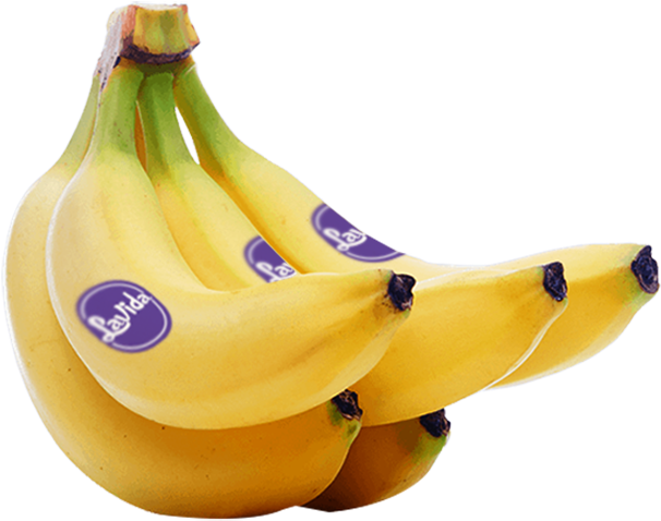 Lavida Bananas - Lavida Banana (629x497), Png Download