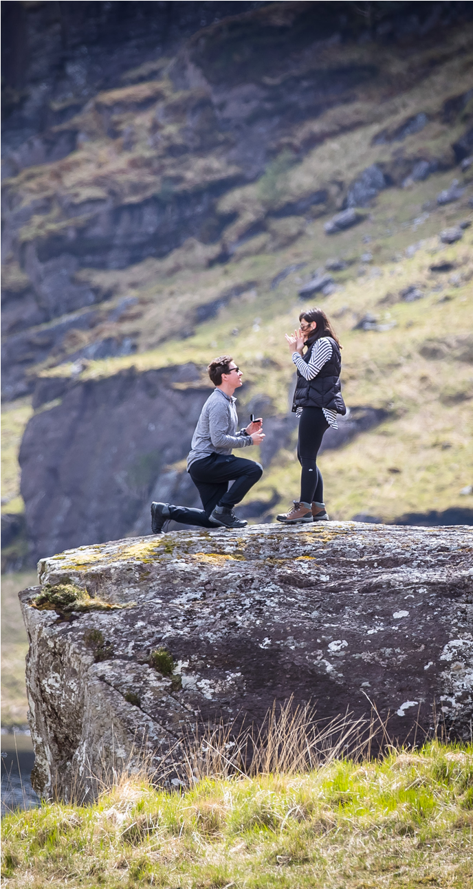 Proposal Planning - Grass (800x1504), Png Download