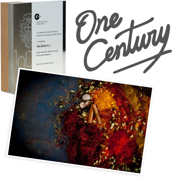 A Century Of History - Book Cover (750x700), Png Download