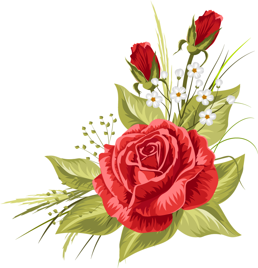 Wedding Invitation Rose Clip Art - Beautiful White Daisies (886x921), Png Download