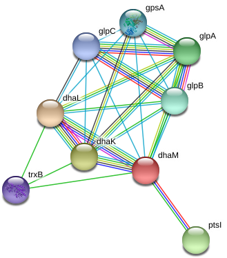 Dham Protein - Circle (975x410), Png Download