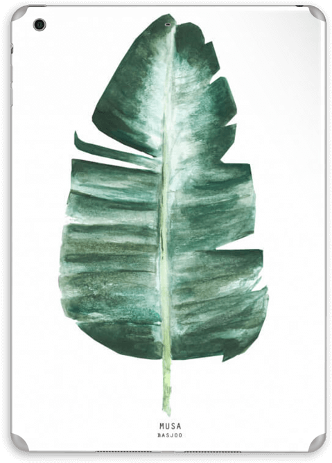 Musa Basjoo Skin Ipad Air - Apple Iphone 7 Plus (573x800), Png Download
