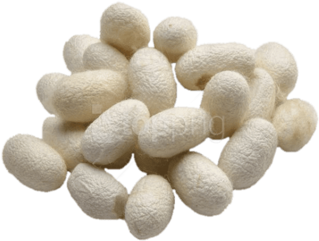 Free Png Download Silkworm Cocoons Png Images Background - Pill (850x638), Png Download