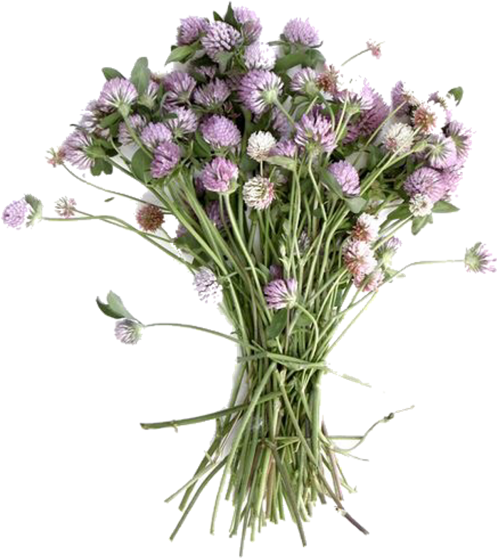 ☁ ✨follow Us On Insta @qlossy - Bouquet (1024x1325), Png Download