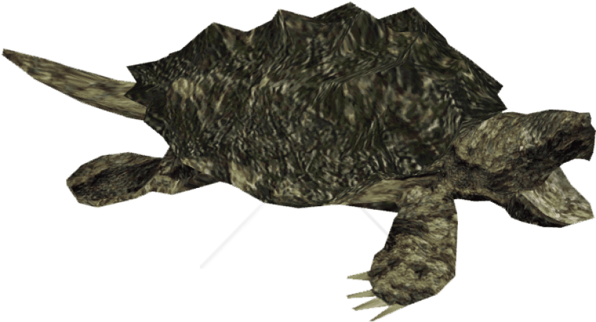 Free Png Snapping Turtle Png Image With Transparent - Alligator Snapping Turtle (850x459), Png Download