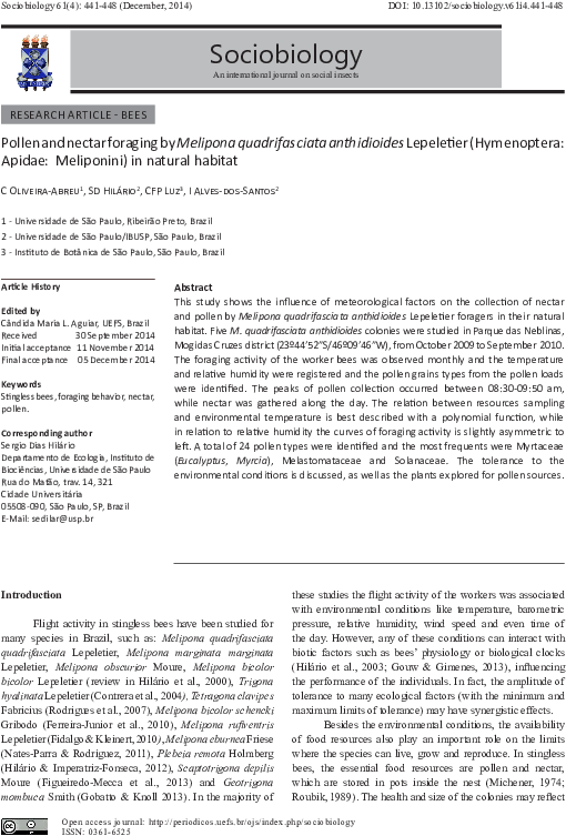 Pollen And Nectar Foraging By Melipona Quadrifasciata - "seeking An American Art Of The Dance" (595x794), Png Download