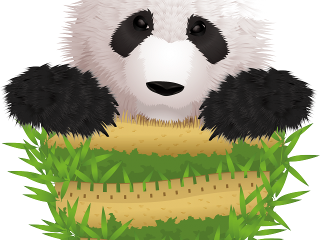 Rare Clipart Giant Panda - Teddy Bear (640x480), Png Download