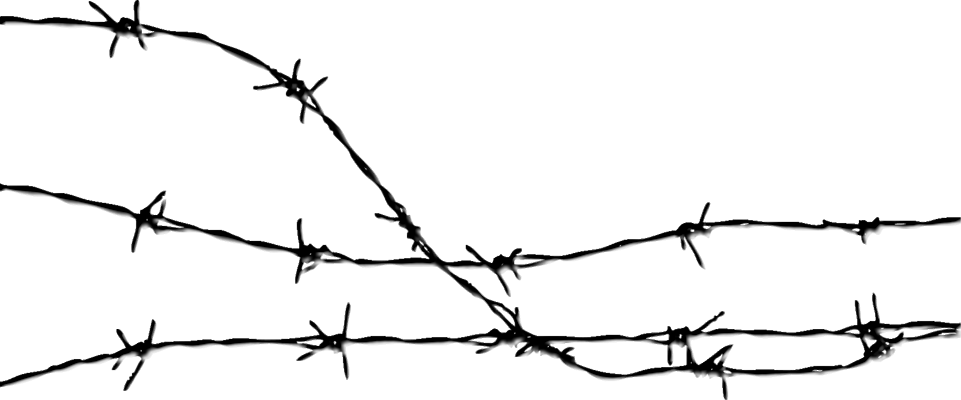 Barbed Wire Transparent Background (961x400), Png Download