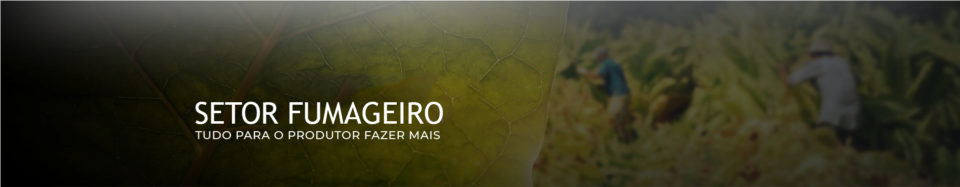 Equi - Trator - Fuma - Equi - Azul Seguros (1920x515), Png Download