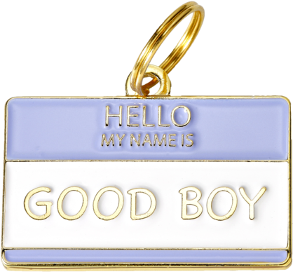 Hello My Name Is Good Boy</br>enamel Charm/id Tag< - Electric Blue (799x533), Png Download