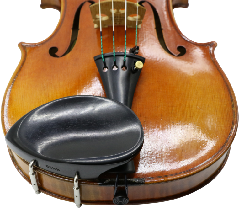 Viola (1200x800), Png Download