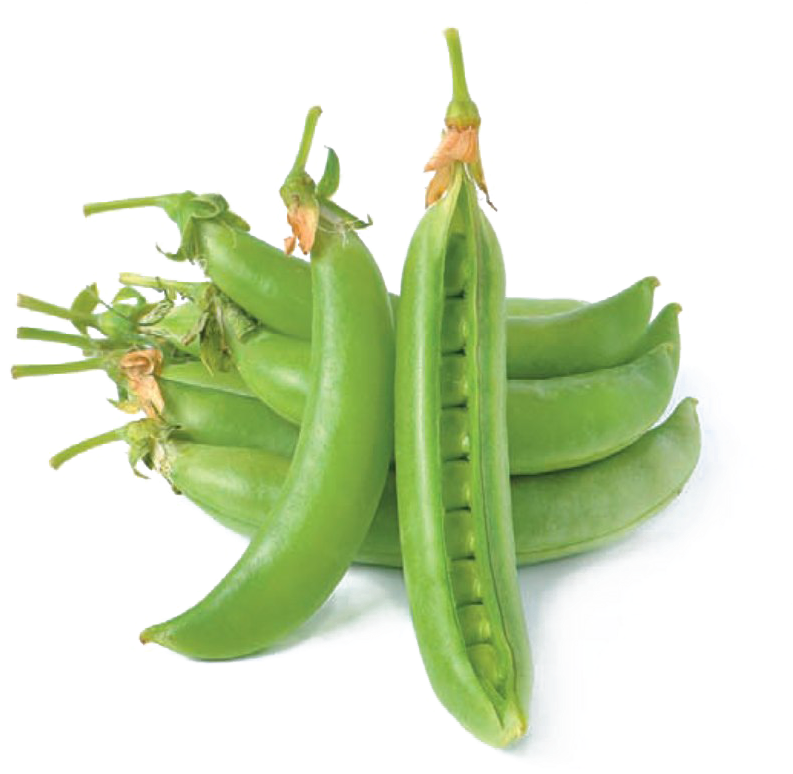 Pea Png Hd Quality - Snap Pea (1200x900), Png Download