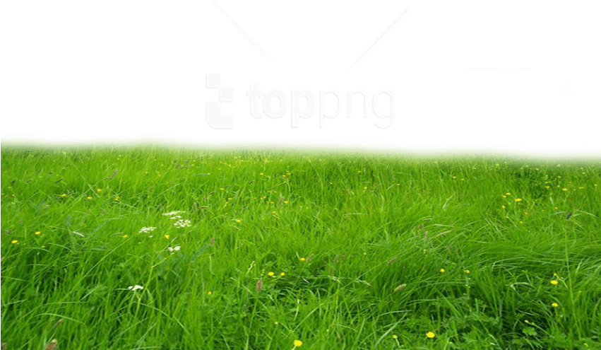 Free Png Download Grass High-quality Png Png Images - Deviantart Grass Png (850x680), Png Download