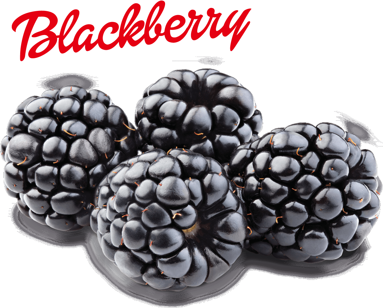 Blackberry (1920x1200), Png Download