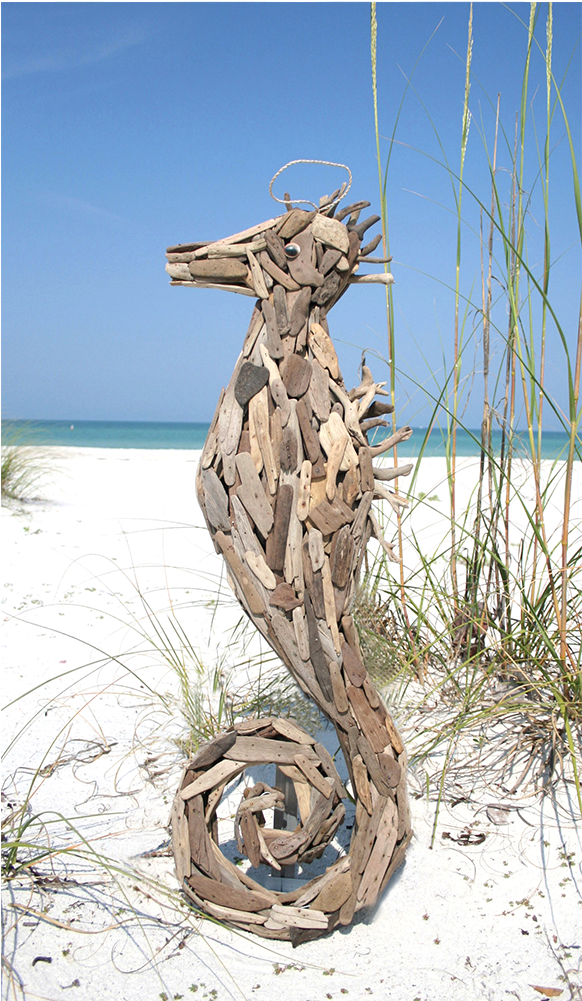 Driftwood Seahorse - Driftwood (1000x1000), Png Download