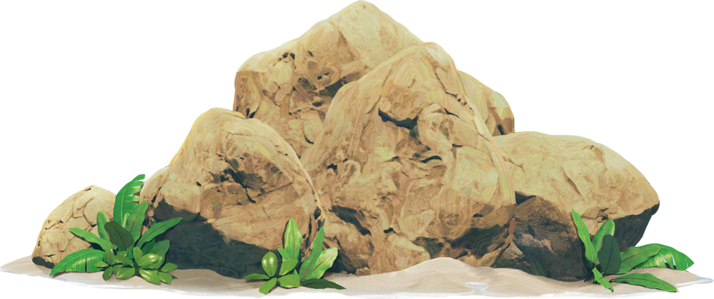 Rocksplants1 Hr - Boulder (1000x419), Png Download