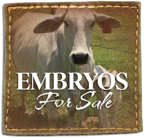 Frequently, Soil And Hay Samples Are Tested To Make - Working Animal (603x605), Png Download