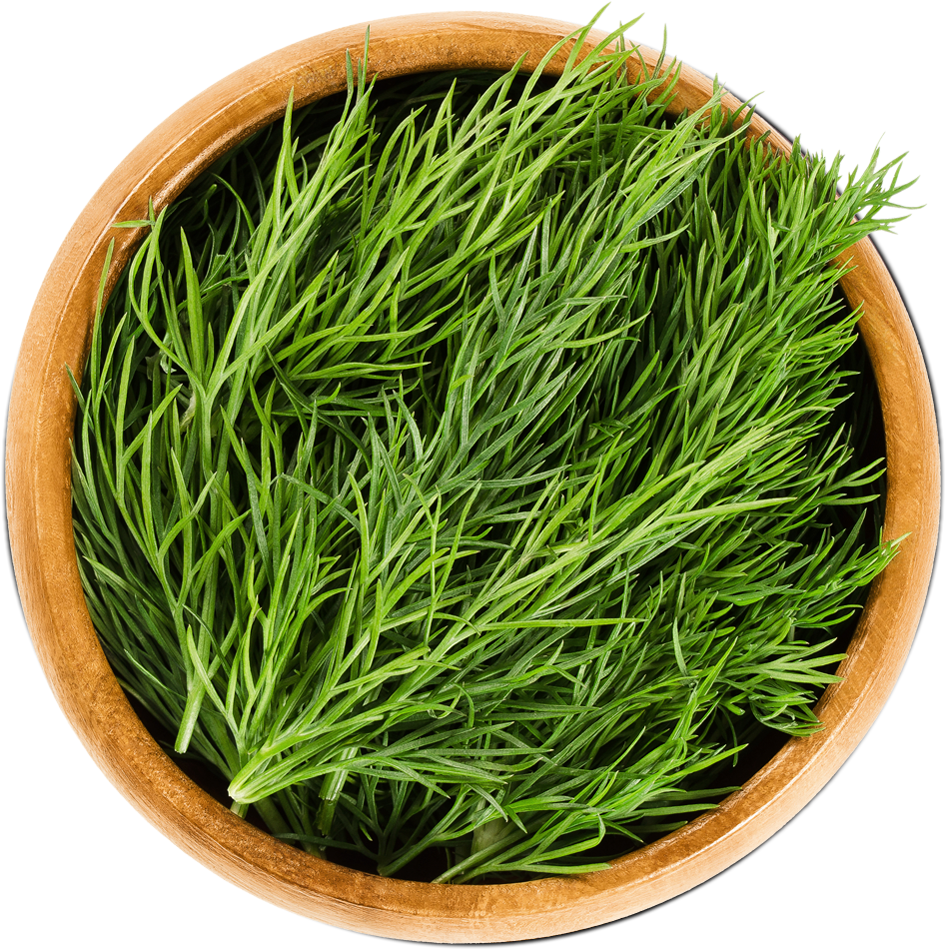 Dill (1200x1000), Png Download